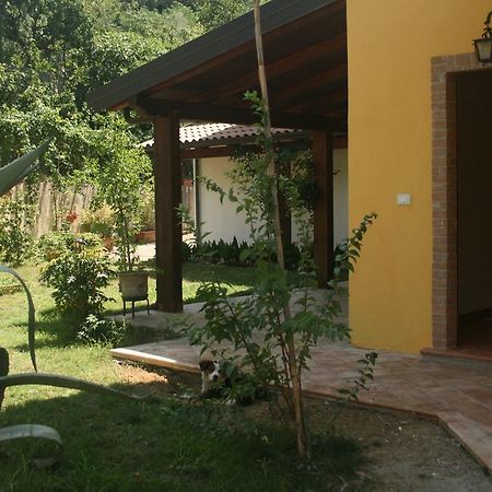 B&B Del Castagneto San Marco Argentano ภายนอก รูปภาพ