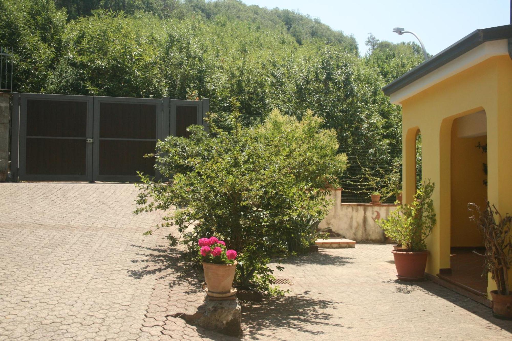 B&B Del Castagneto San Marco Argentano ห้อง รูปภาพ